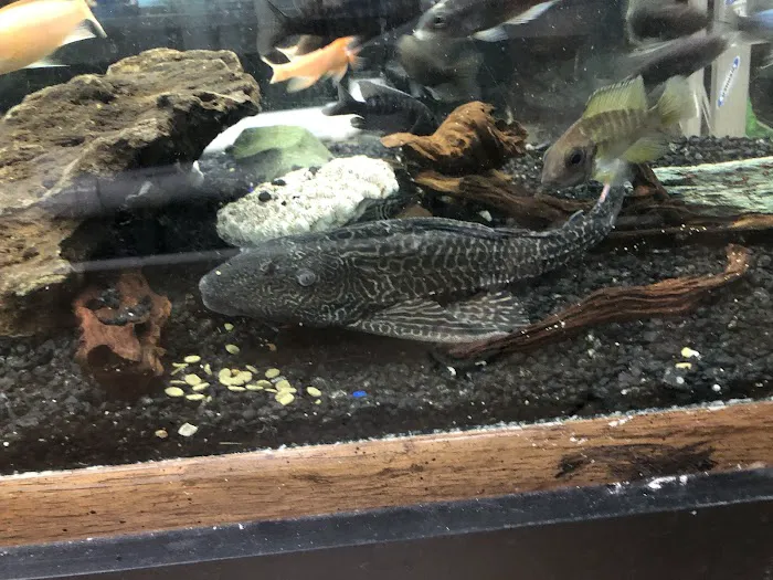 World Wide Aquarium & Pets Picture 7