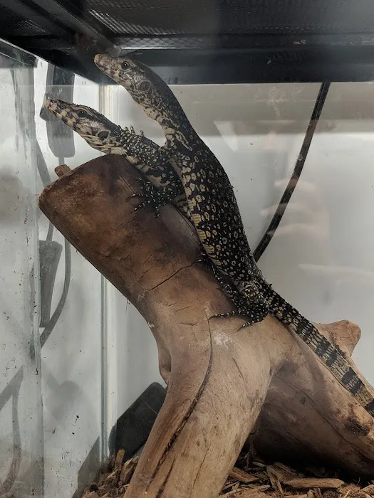 World Wide Aquarium & Pets Picture 10