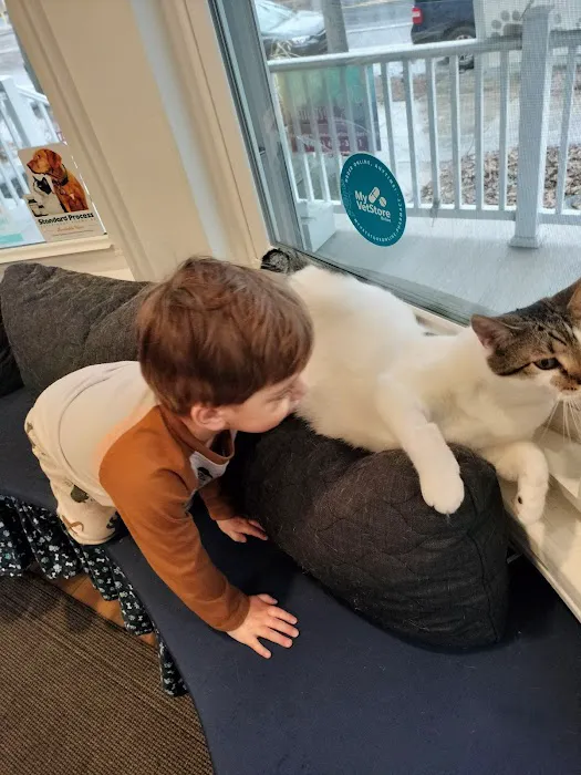Pottstown Animal Wellness Services Picture 10
