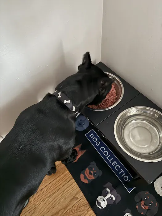 RAW K9 MEAT Picture 9
