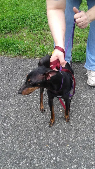 Pottsgrove Animal Hospital Picture 4