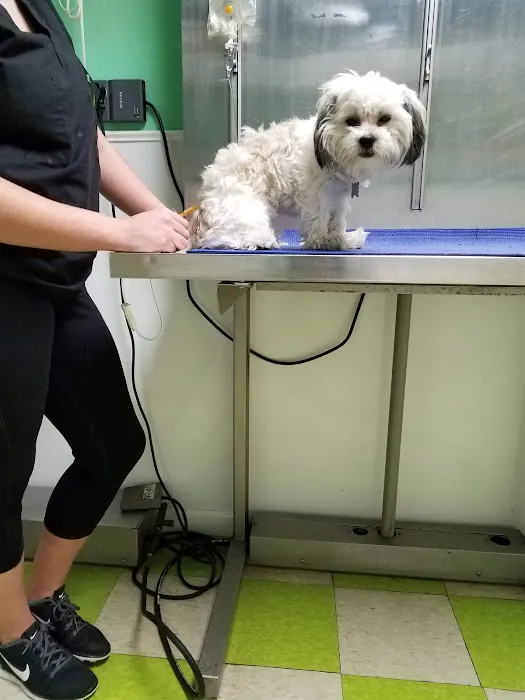 Pottsgrove Animal Hospital Picture 1