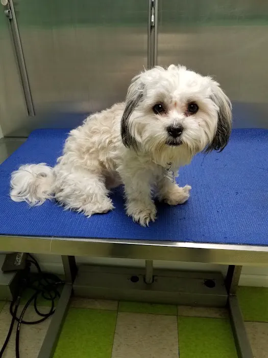 Pottsgrove Animal Hospital Picture 6