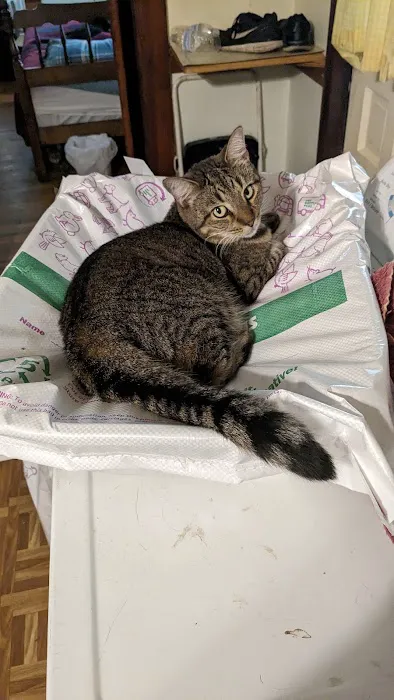 Pet Supplies Plus Shelton Picture 4