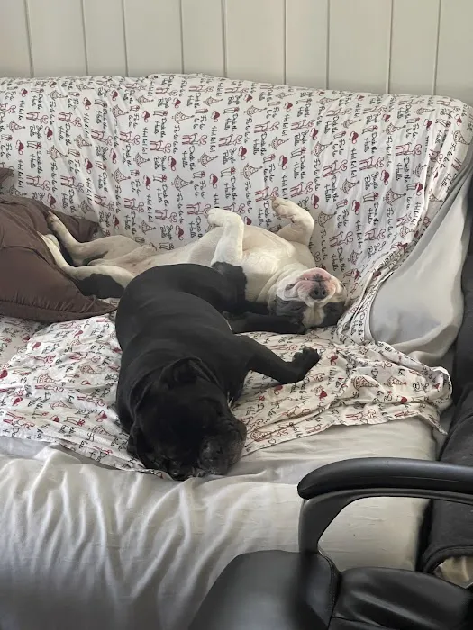 FurEver Friends Hudson Valley Picture 7