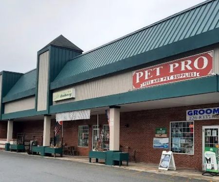Pet Pro