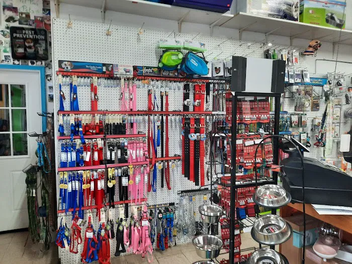 Pet Pro Picture 5