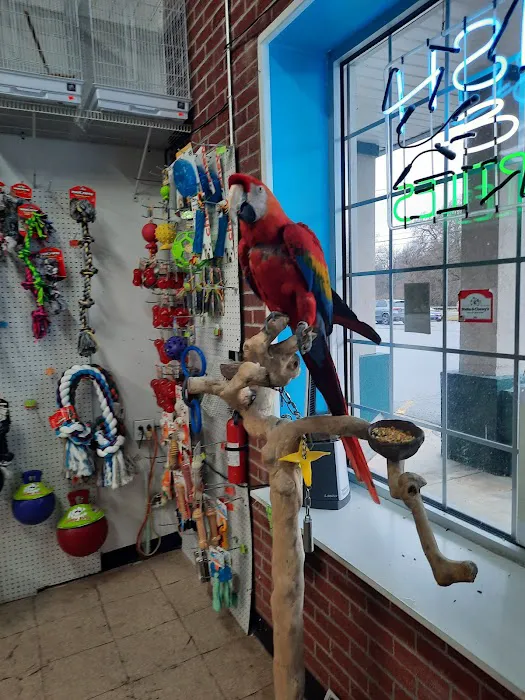 Pet Pro Picture 7