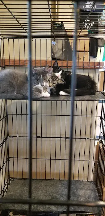 Pennridge Animal Hospital Picture 1