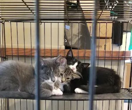 Pennridge Animal Hospital
