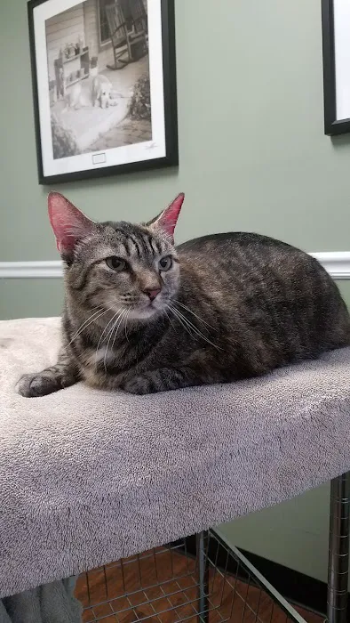Pennridge Animal Hospital Picture 5