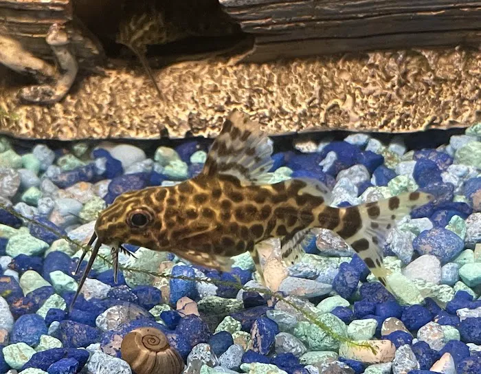 Brookfield Pets Picture 5