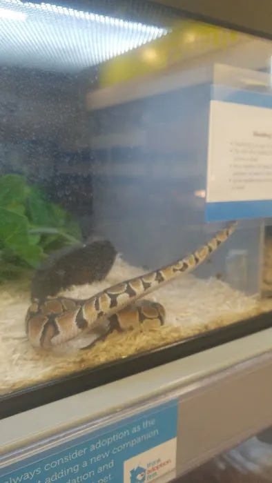 Petco Picture 4