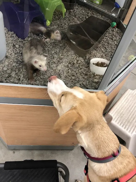 Petco Picture 6