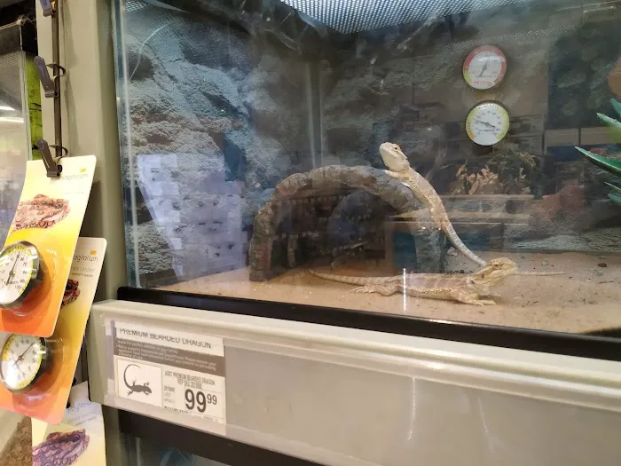 Petco Picture 8