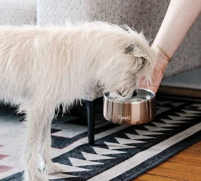 Paul's Custom Pet Food Kitchen + Market Picture 4