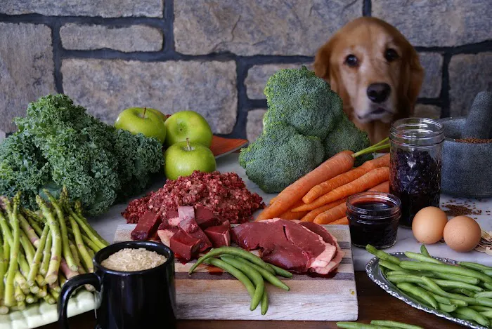 Paul's Custom Pet Food Kitchen + Market Picture 7