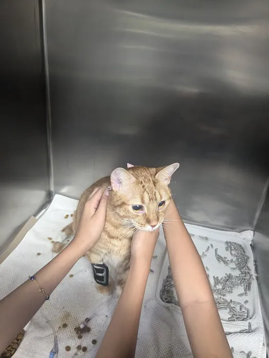 Quakertown Veterinary Clinic Picture 2