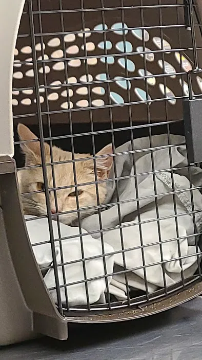 Quakertown Veterinary Clinic Picture 4