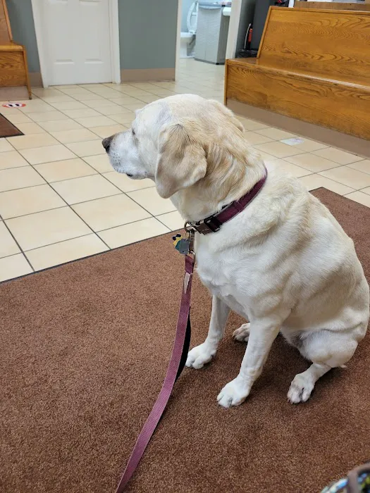 Quakertown Veterinary Clinic Picture 9