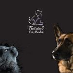 Natural Pet Market