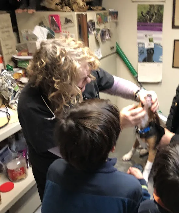 Milford Veterinary Clinic Picture 7