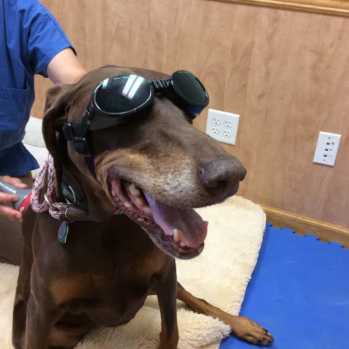 Mill Pond Veterinary Clinic & Kennel Picture 1