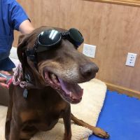 Mill Pond Veterinary Clinic & Kennel ico