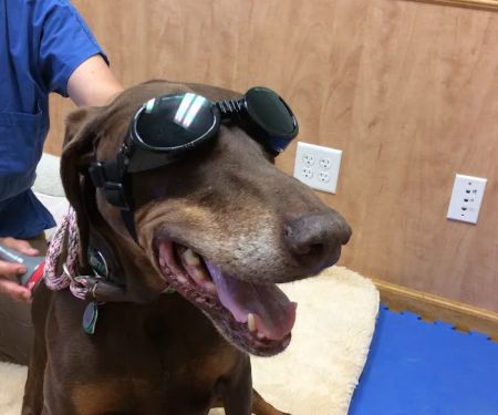 Mill Pond Veterinary Clinic & Kennel