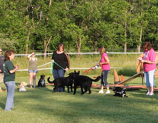 Mill Pond Veterinary Clinic & Kennel Picture 5