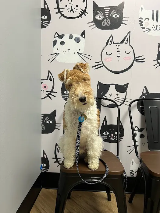 Cypress Veterinary Clinic Picture 2