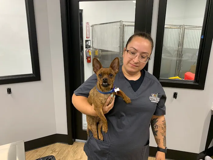 Cypress Veterinary Clinic Picture 8