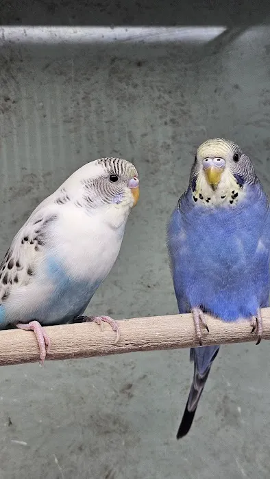 A to Z Pet Shop Picture 2