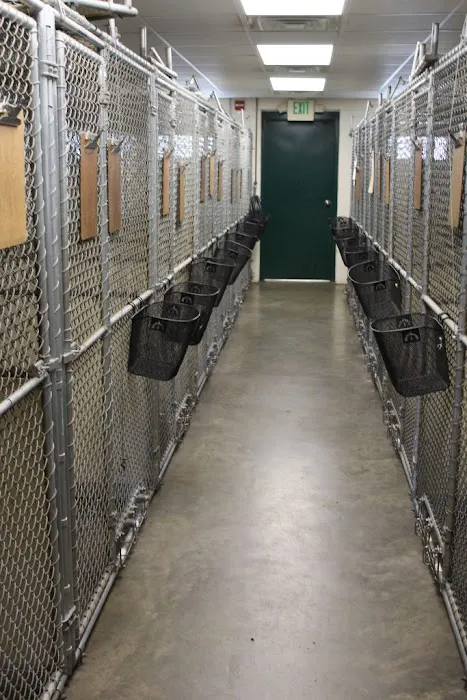 Hockessin Animal Hospital Picture 1