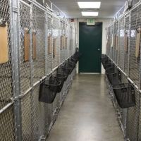 Hockessin Animal Hospital ico
