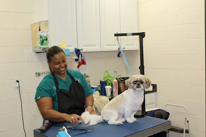 Hockessin Animal Hospital Picture 4