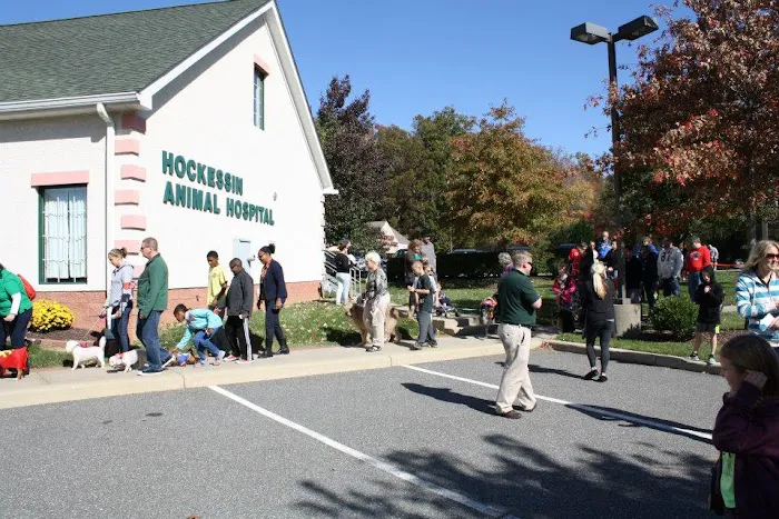 Hockessin Animal Hospital Picture 8