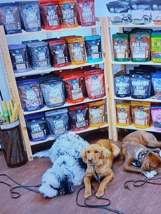 Trident Pets and Aquatics Picture 3
