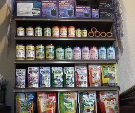 Trident Pets and Aquatics