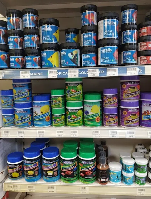 Trident Pets and Aquatics Picture 7