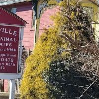 Unionville Small Animal Associates ico