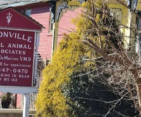 Unionville Small Animal Associates
