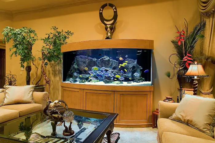 Aqua Vision's Picture 3