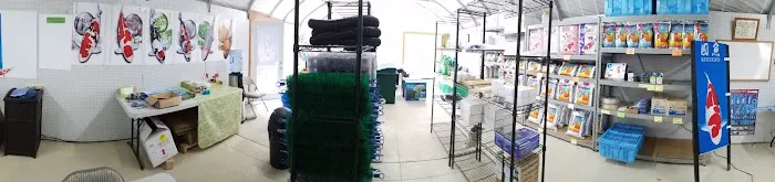 Kodama Koi Garden NY Picture 2