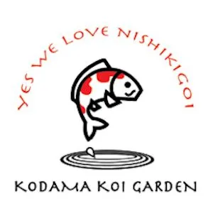 Kodama Koi Garden NY Picture 7