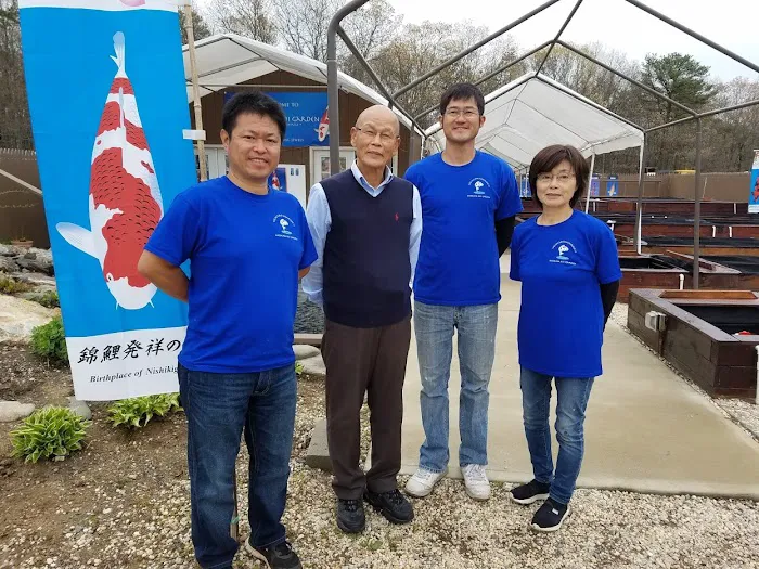 Kodama Koi Garden NY Picture 10