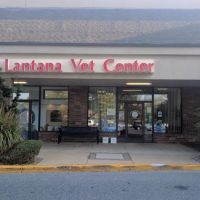 Lantana Veterinary Center ico