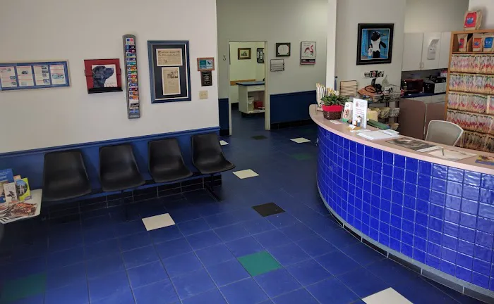 Lantana Veterinary Center Picture 2