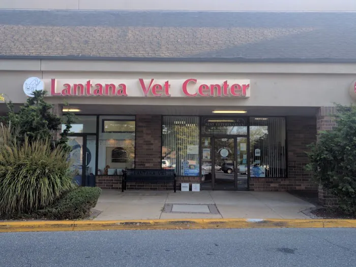 Lantana Veterinary Center Picture 3