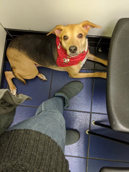 Lantana Veterinary Center Picture 5